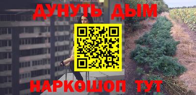 трава Новозыбков