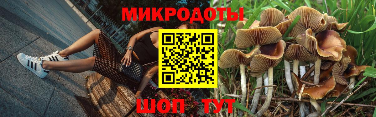 Холмск  Галлюциногенные грибы Cubensis  Вход с VPN 