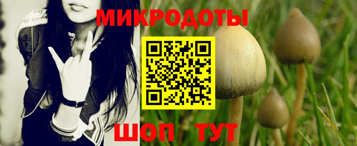 Галлюциногенные грибы ЛСД Холмск